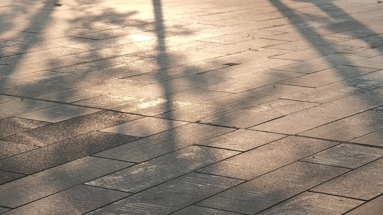 阳光洒下