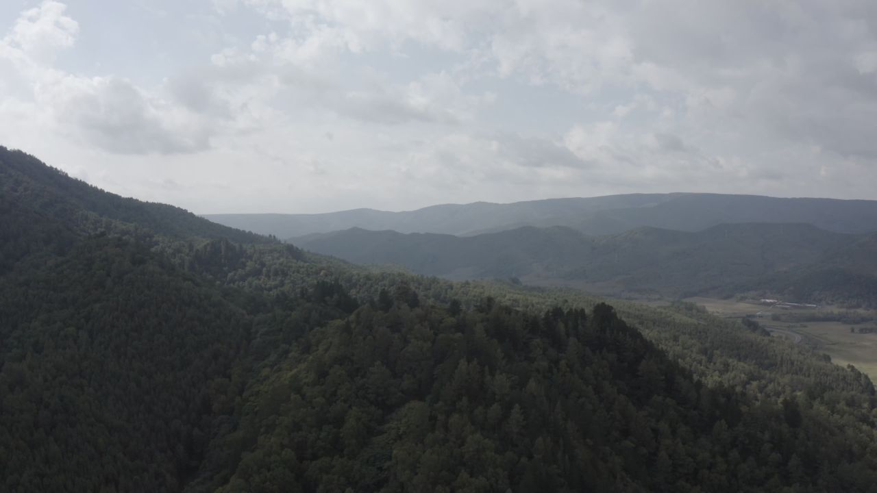 风景