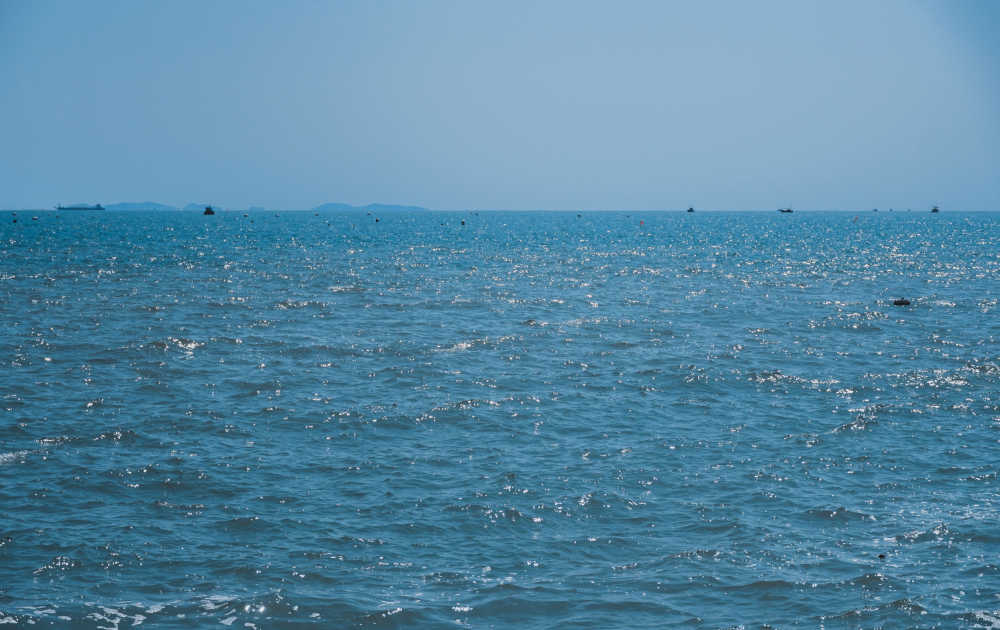 海