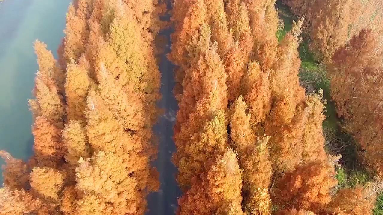 塘下公路