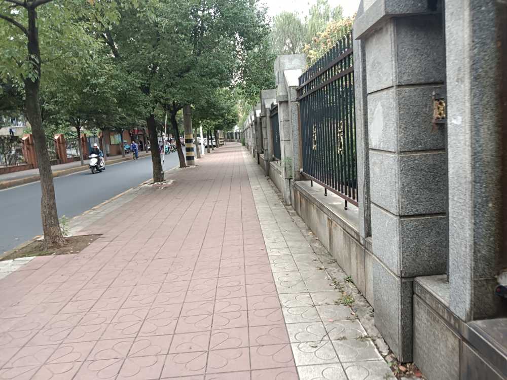 风景