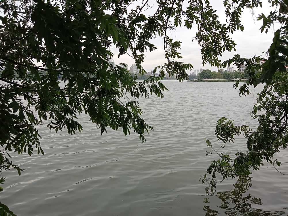 风景
