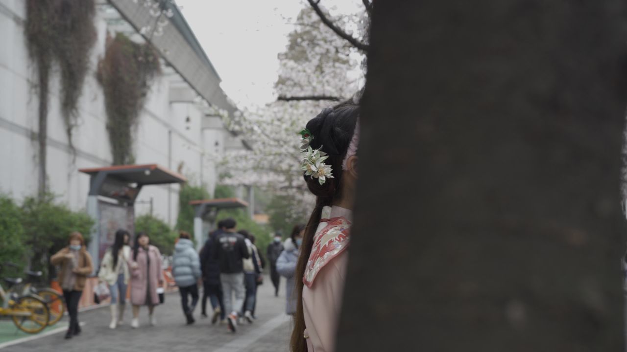 树木移镜头到女孩