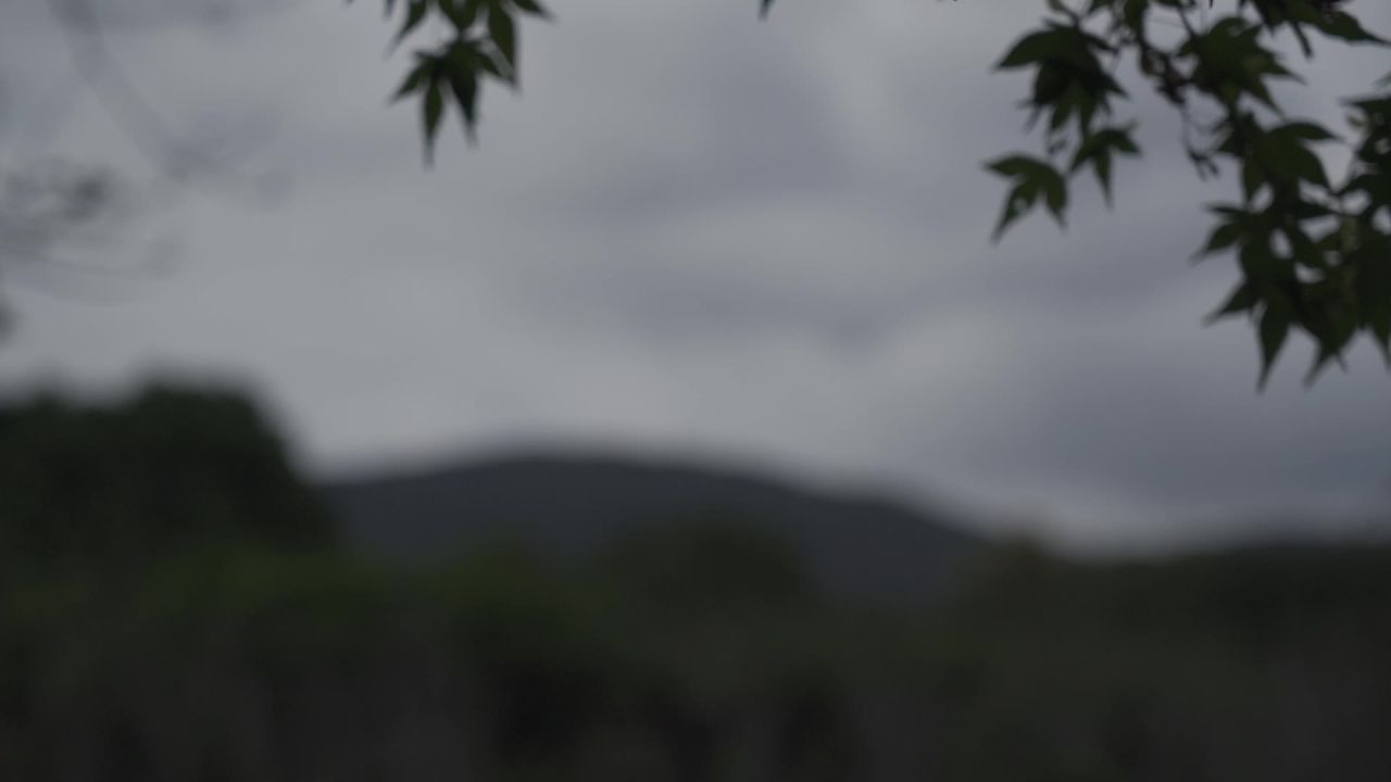 紫金山