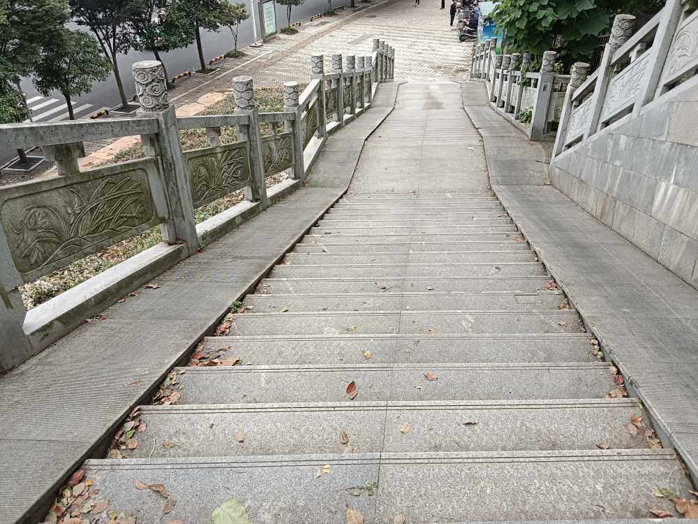 风景