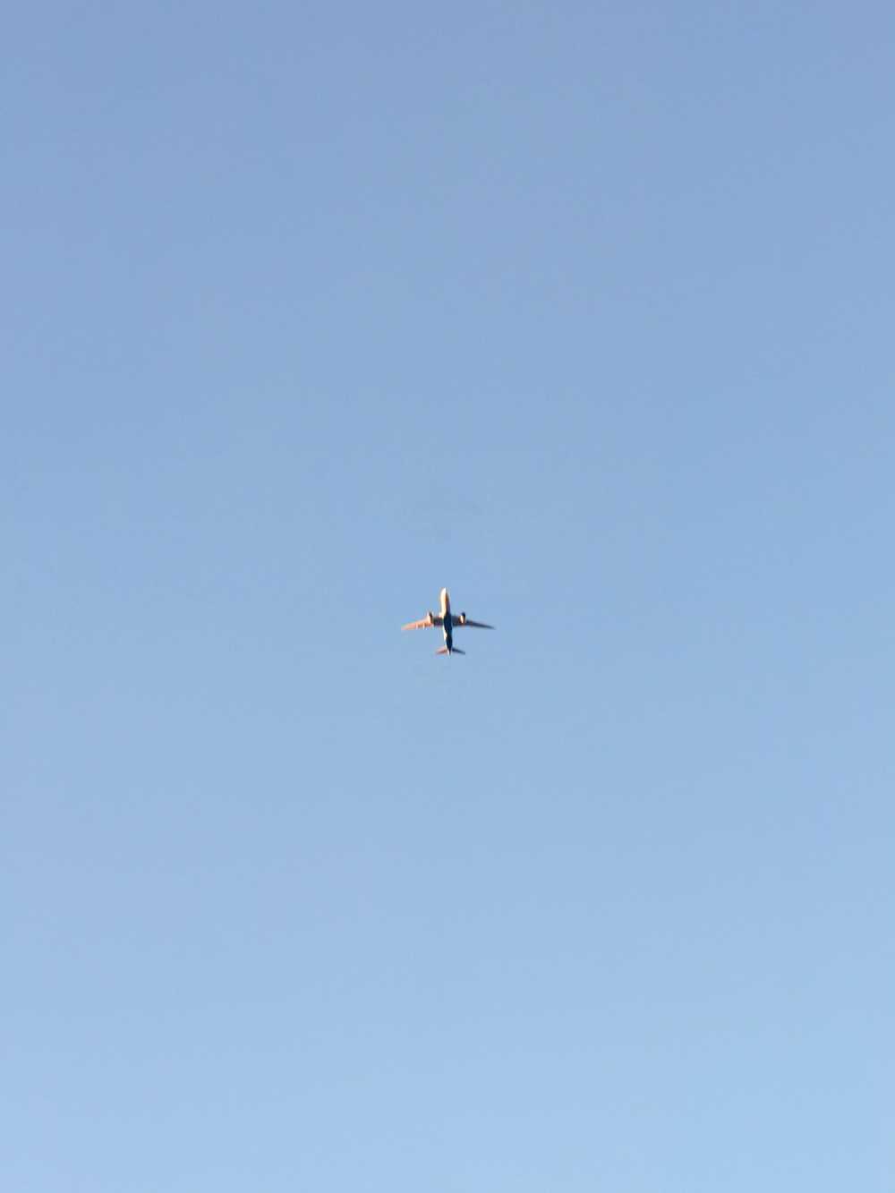 飞向夕阳