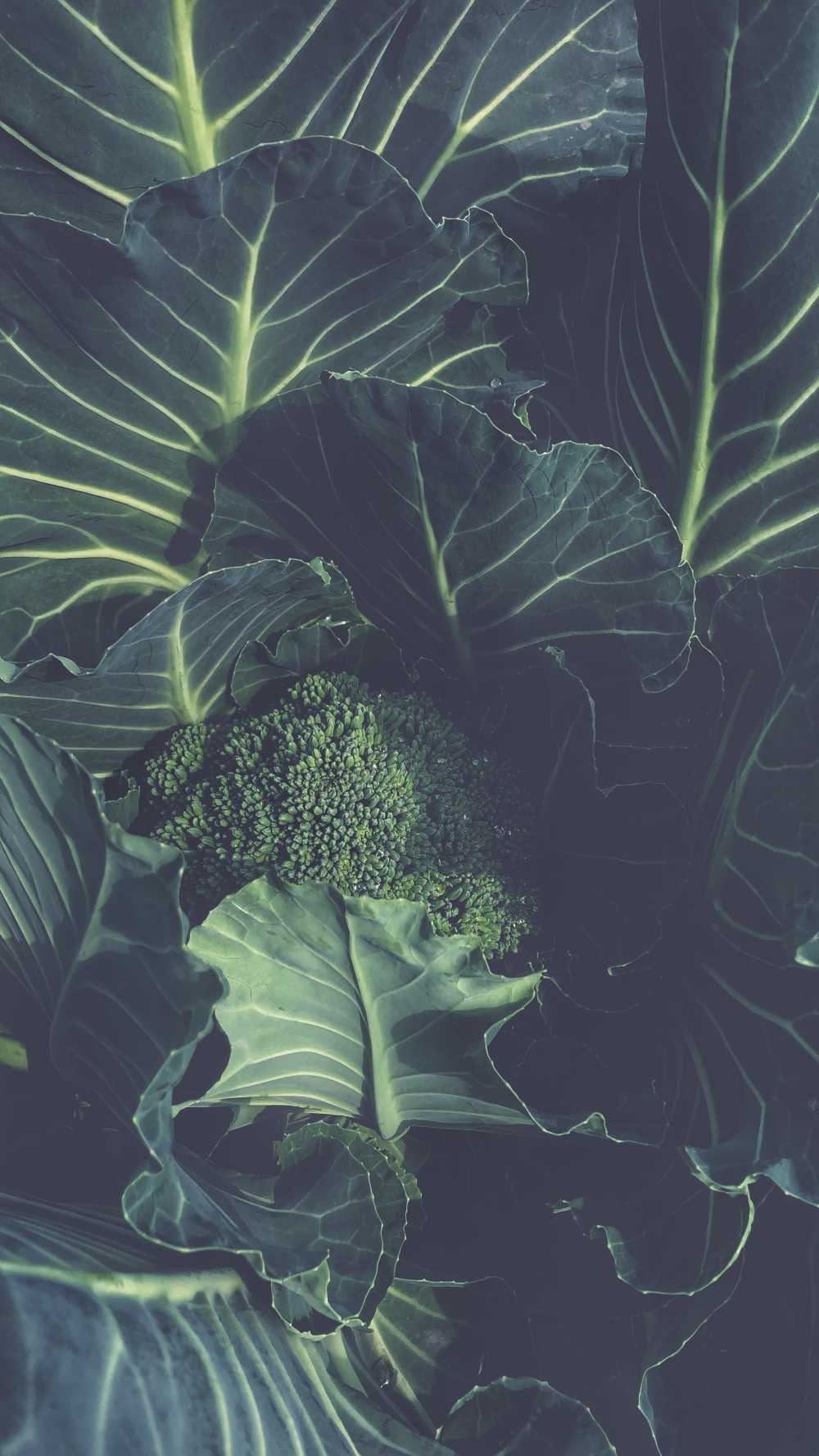 手机里，那些舍不得删的照片