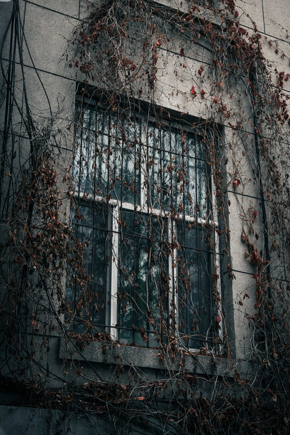 窗