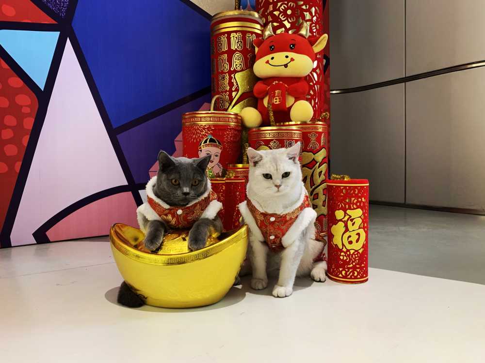新年快乐
