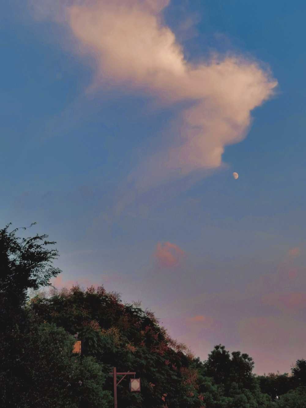 渲染的天空