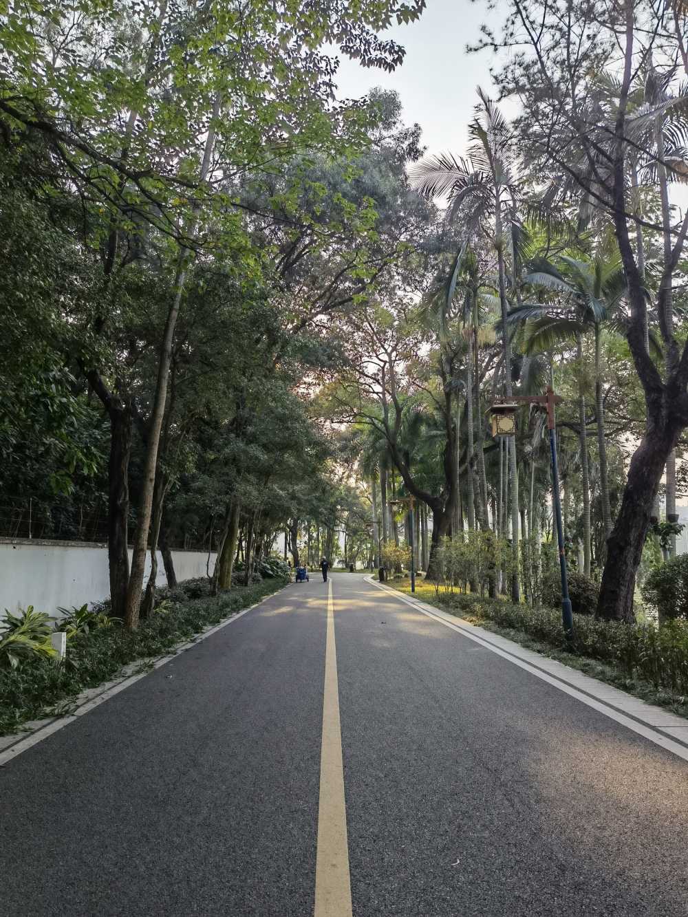 绿色道路