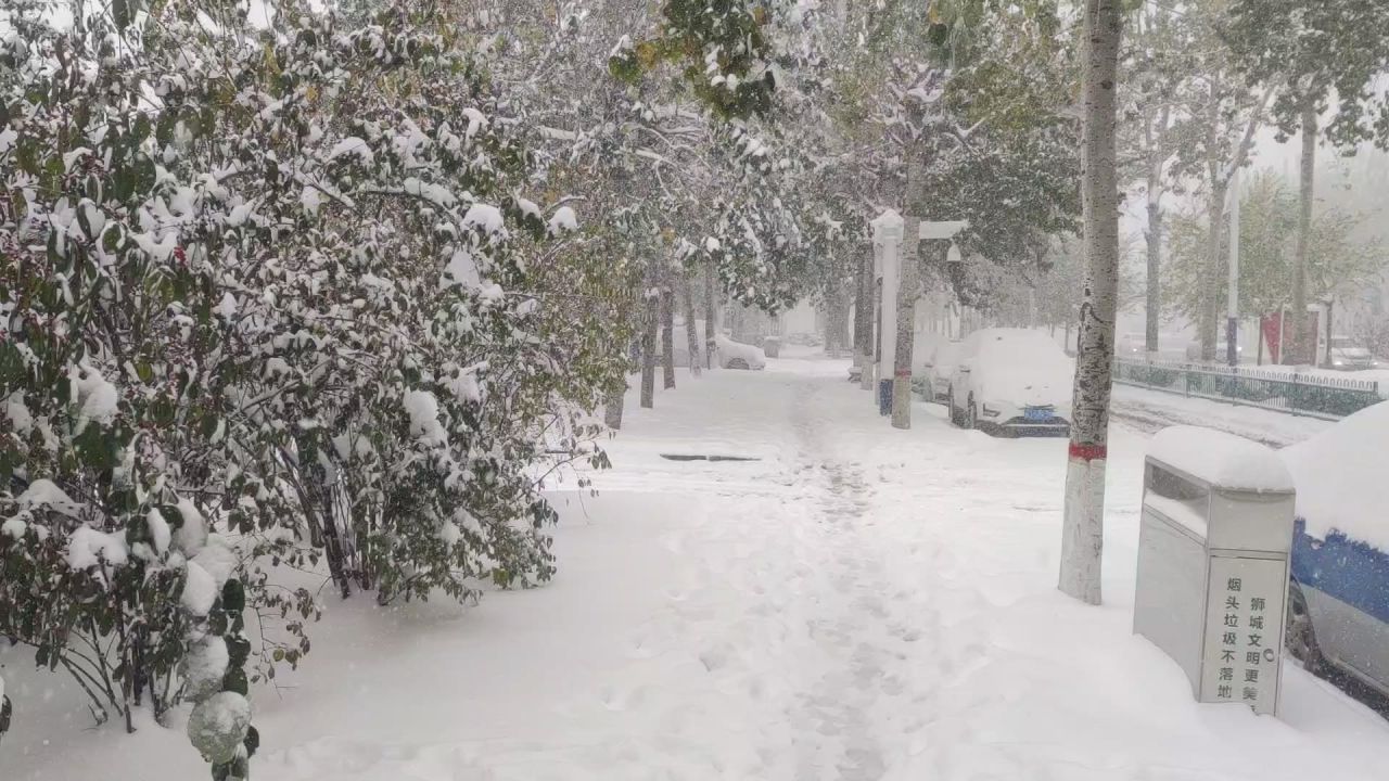 雪景