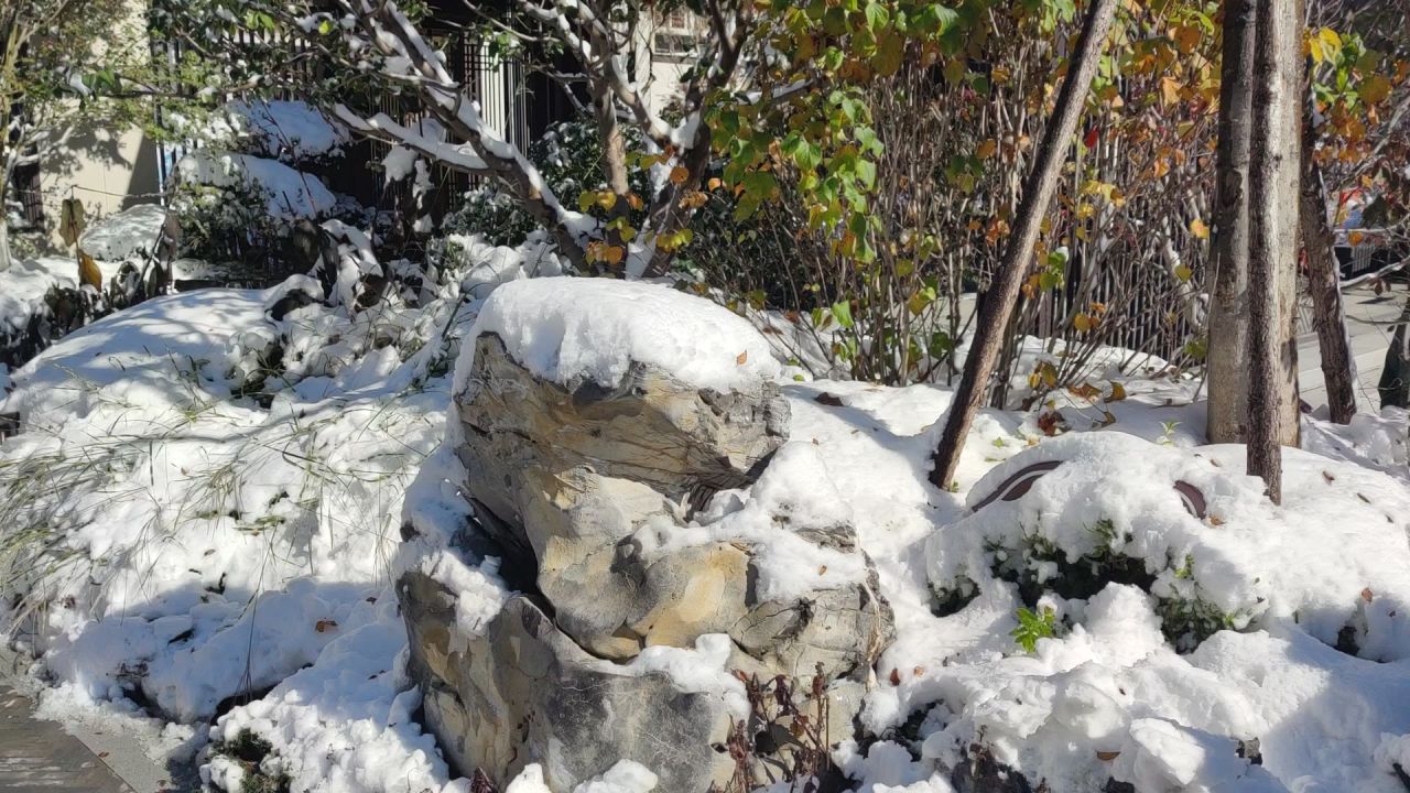 雪景
