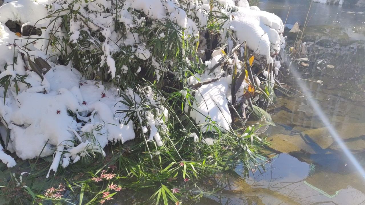 雪景2