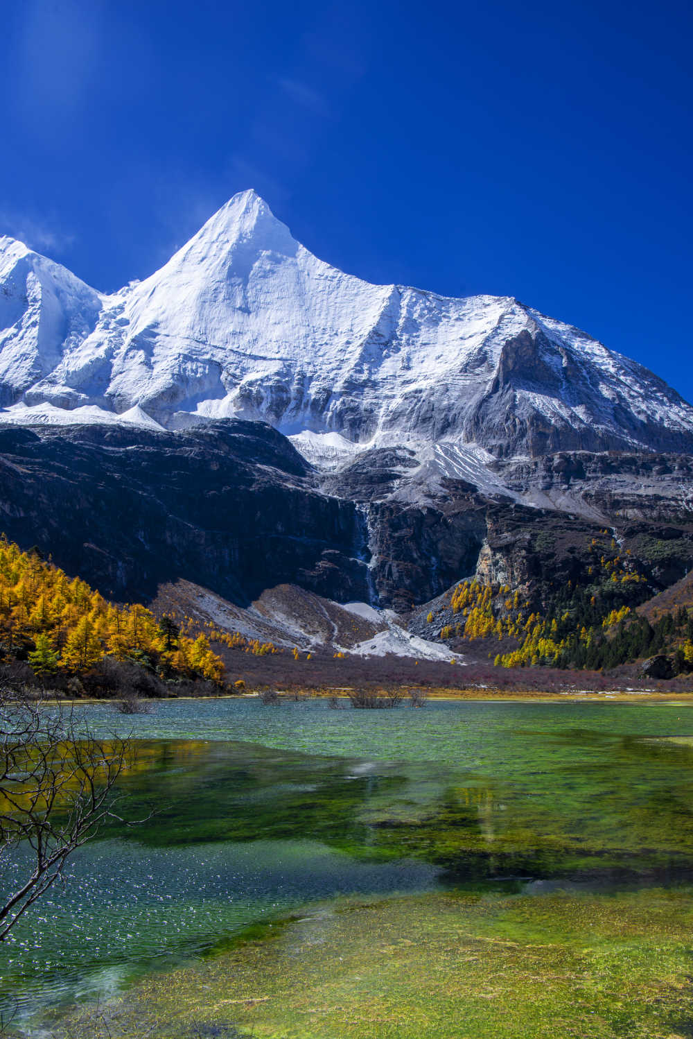 稻城亚丁风景