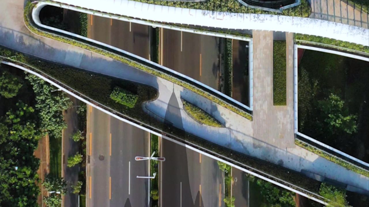 路