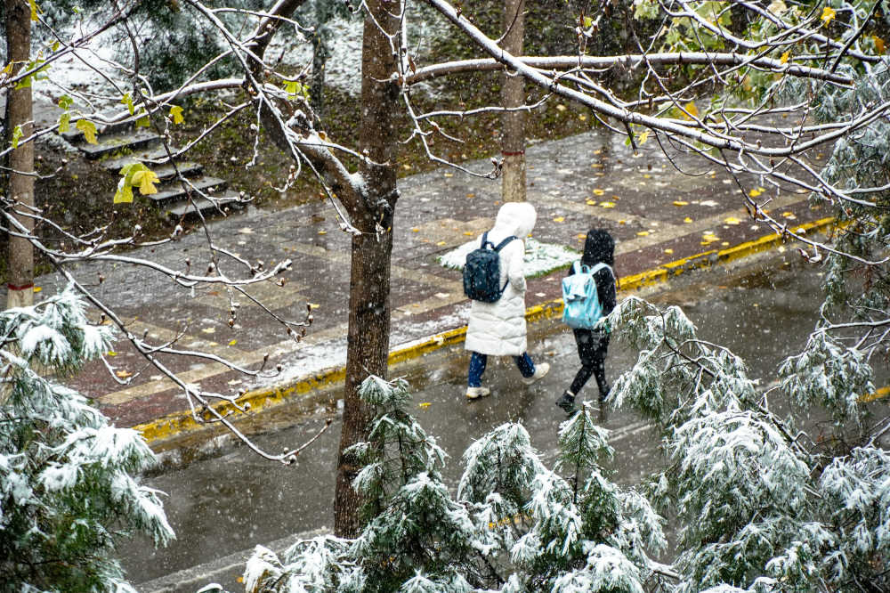 雪里行