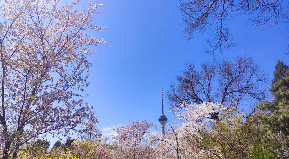 北京玉渊潭公园