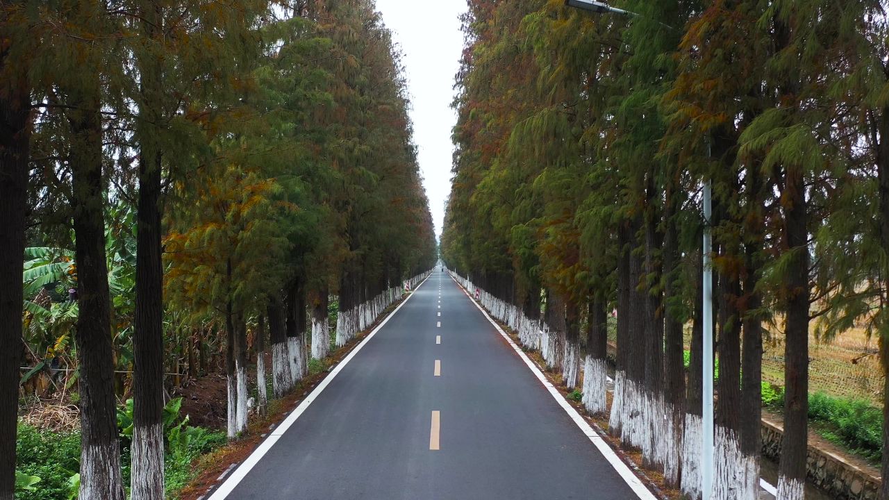 这里秋天姗姗来迟