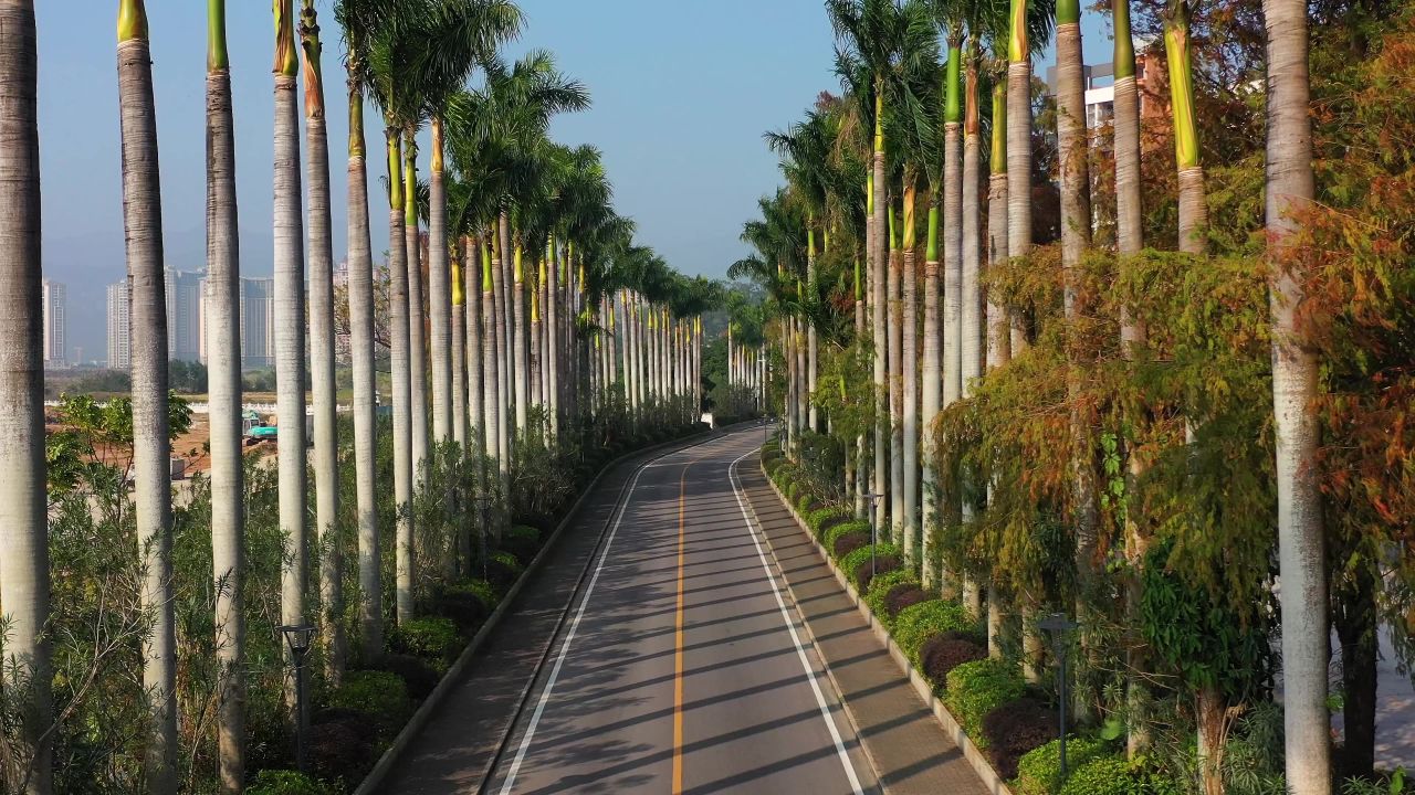 中山温泉路2