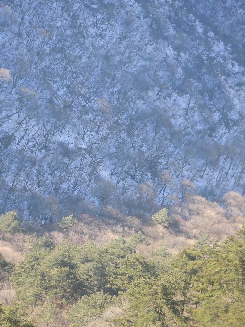 峭壁