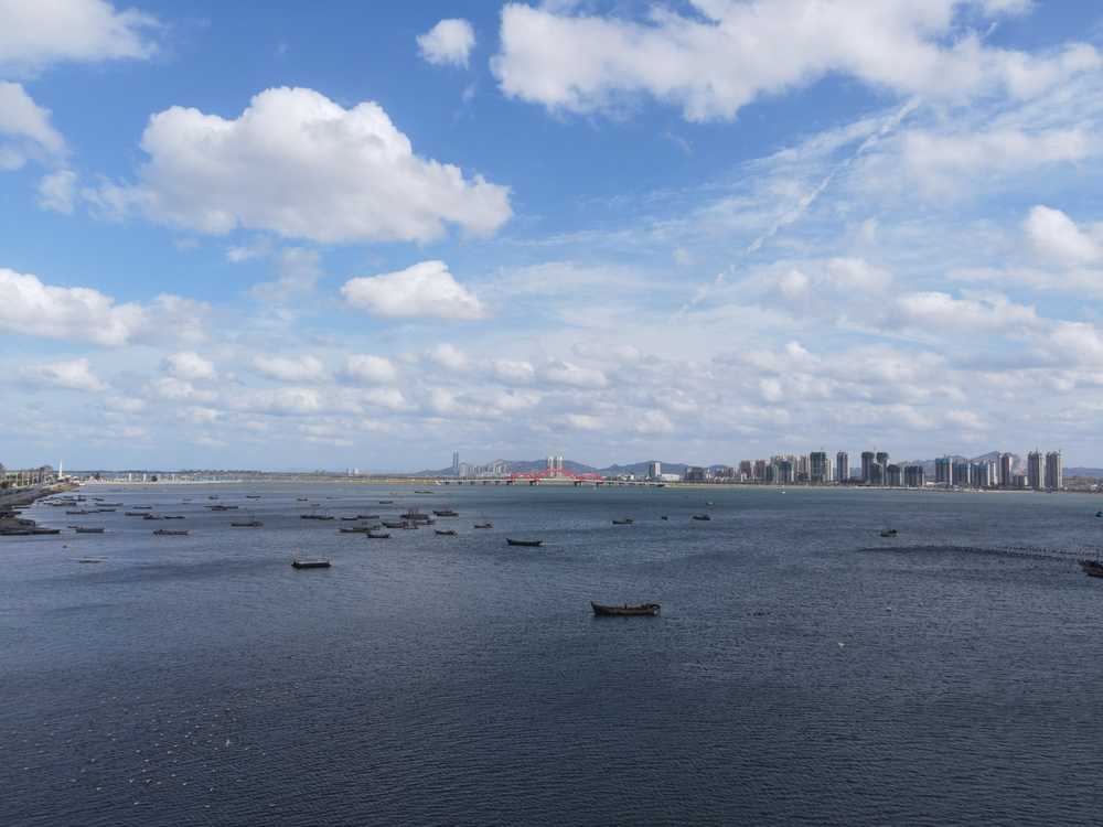 山东烟台 8