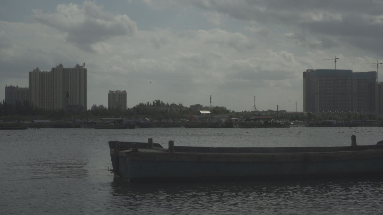 山东烟台海洋 13