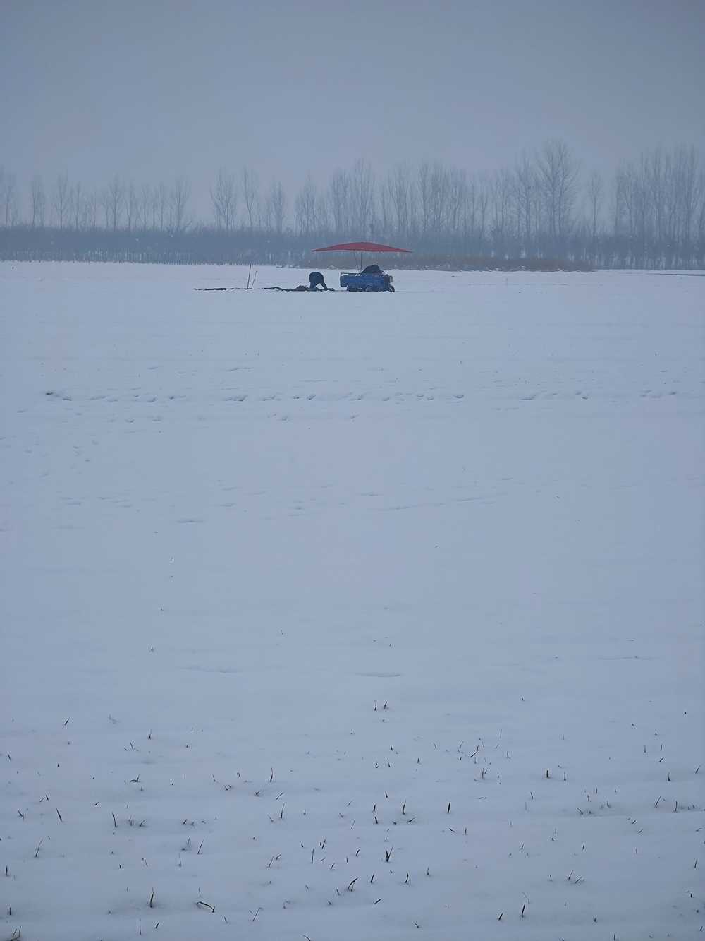 雪地做事