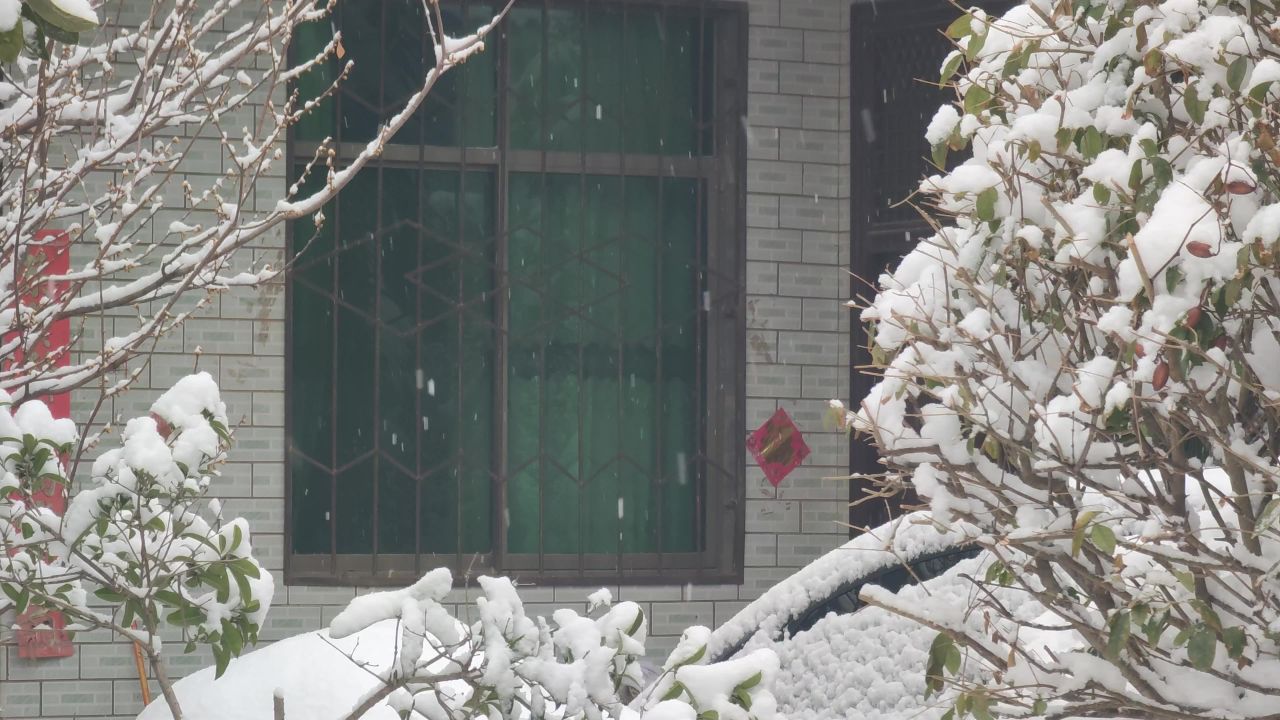 新年初雪