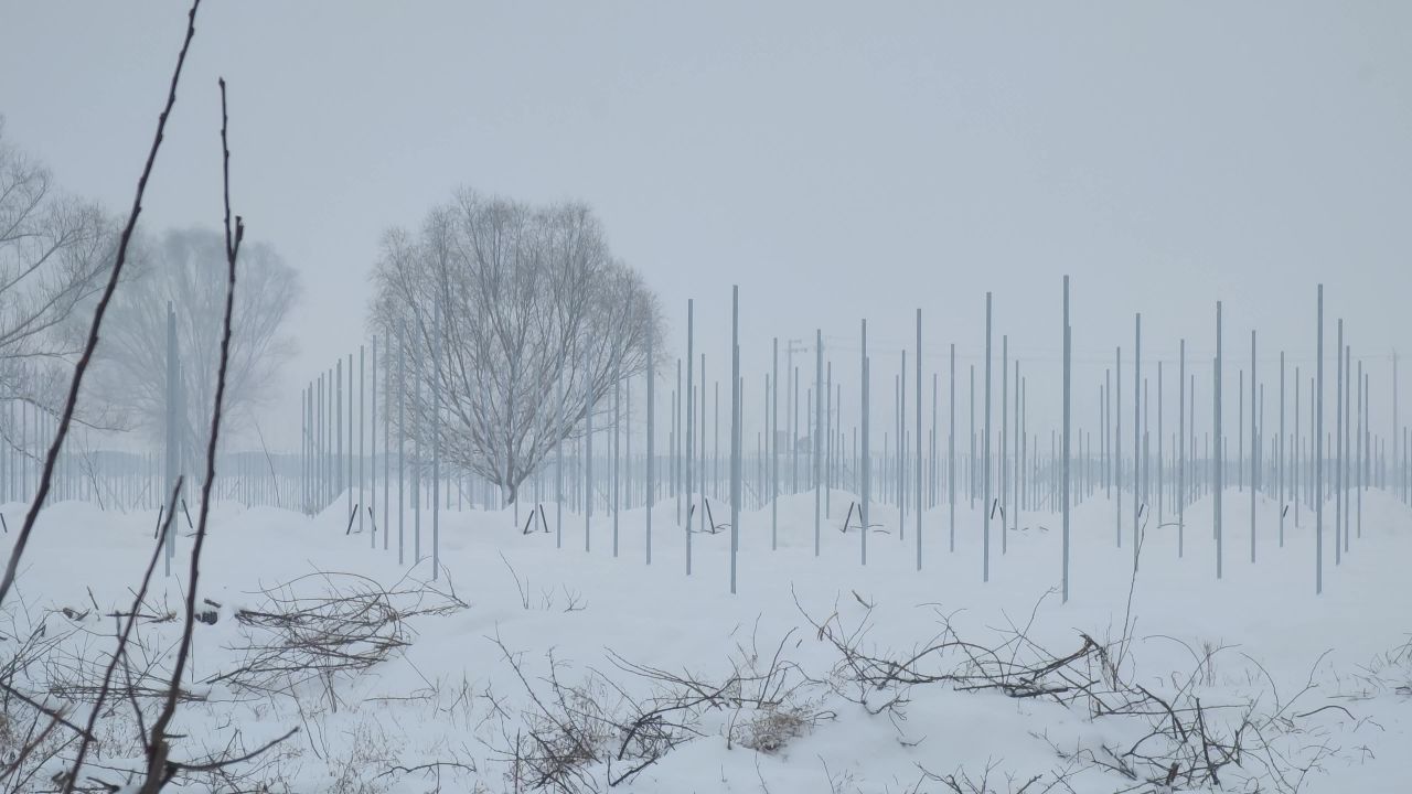冰天雪地
