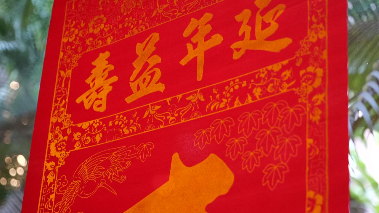 大寿书法作品