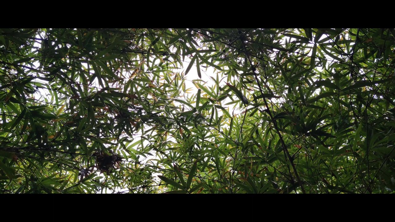 光