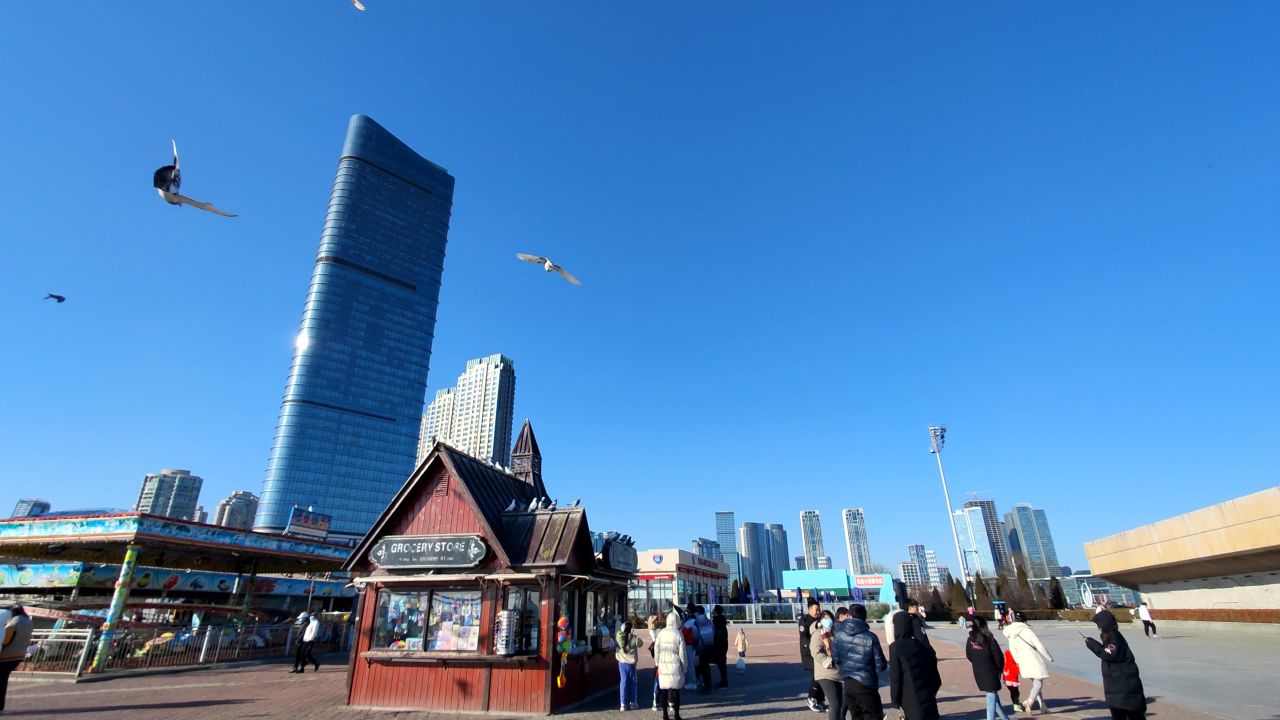 广场飞鸟