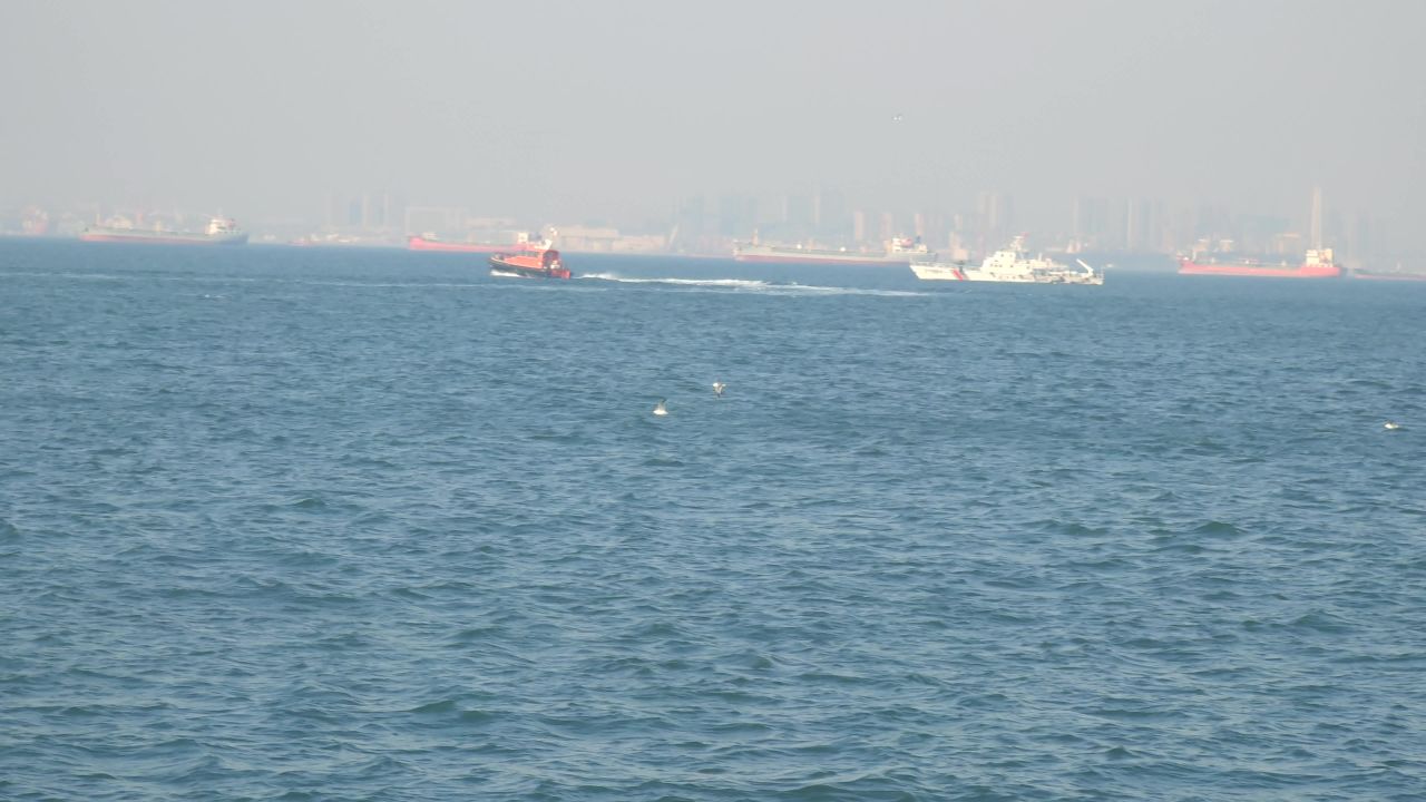 海边工业化工厂