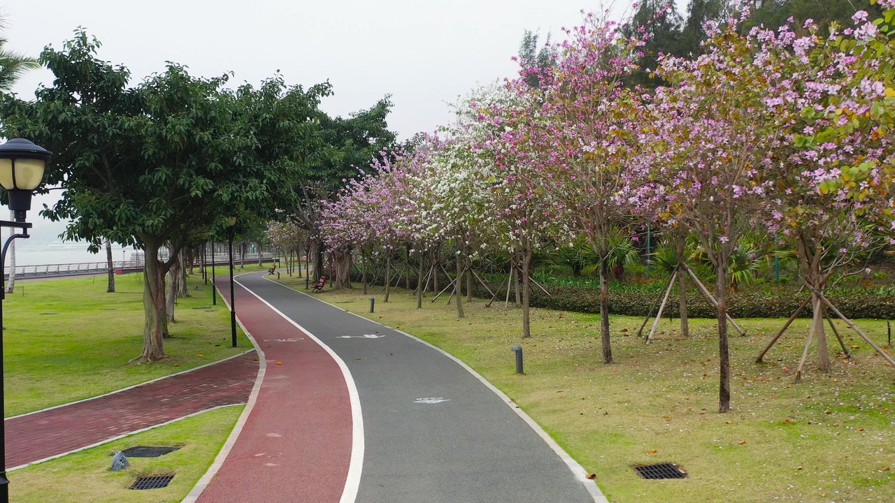 城市淹没在朦胧中