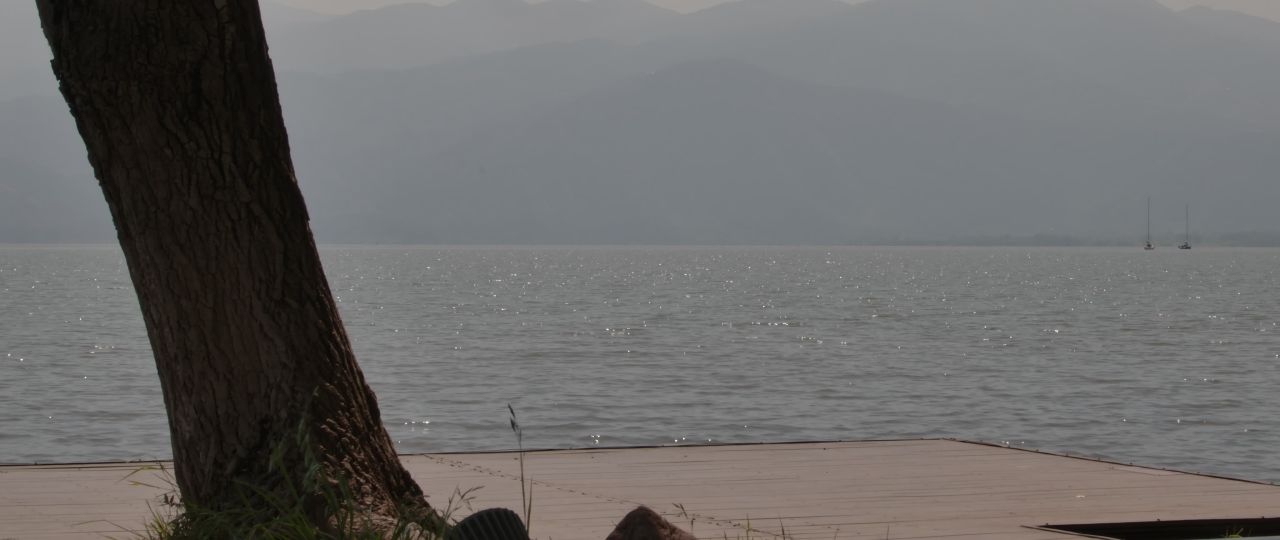 水面湖面