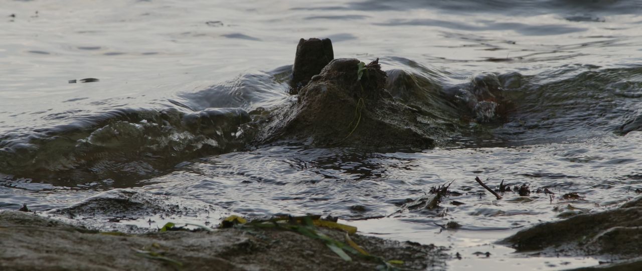 水面岸边