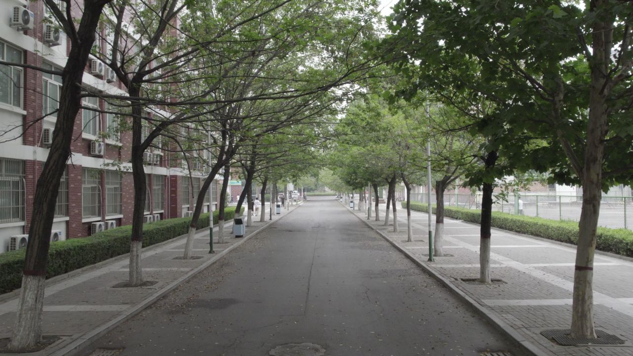 新乡医学院 小树林