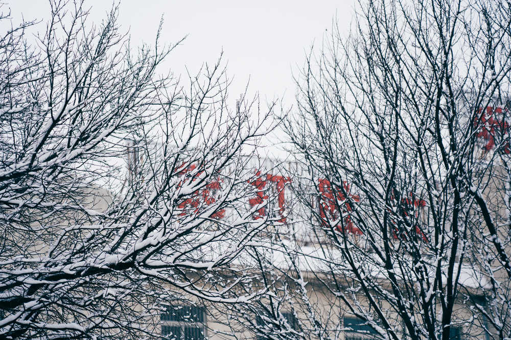 雪景