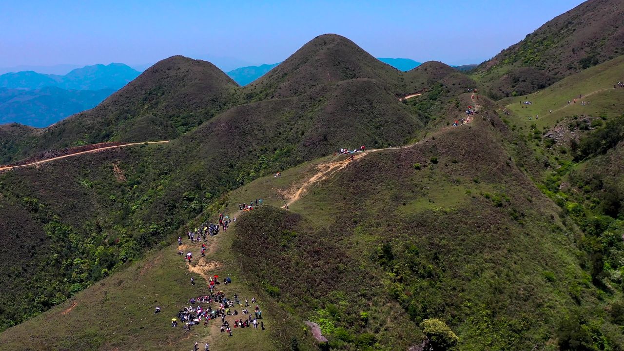 春天里清明时节杜鹃映山红 1