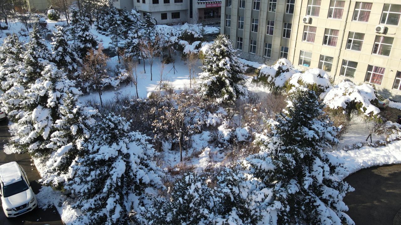 公园雪景航拍