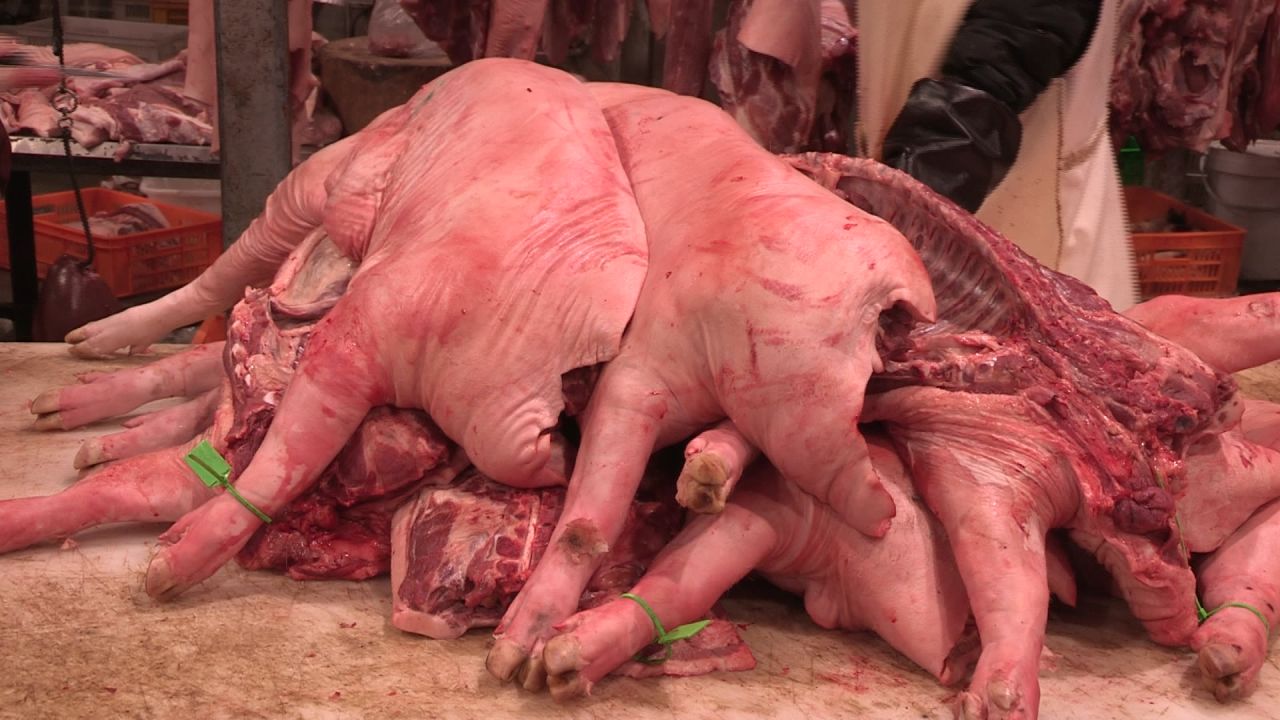 没见过猪跑 猪肉总吃过吧
