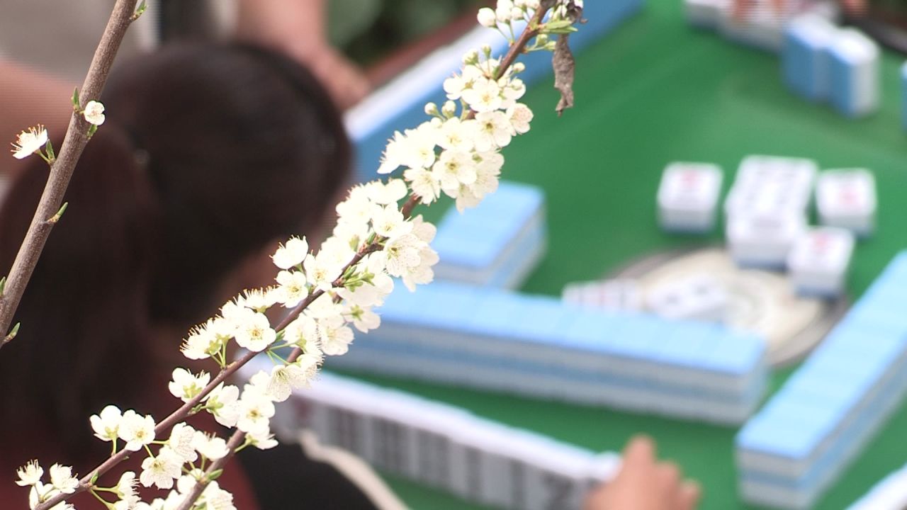桃花山上桃花仙 桃花树下搓麻的半边天