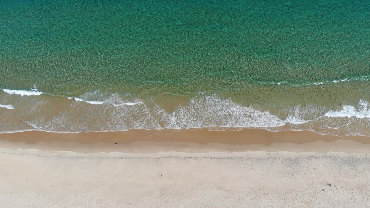 大海