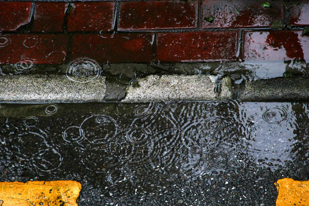 春天地上的雨水