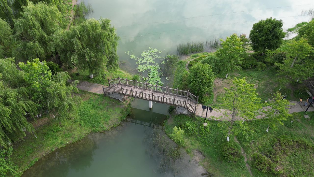 DJI Mini 3 Pro × 郫都区法治湿地公园