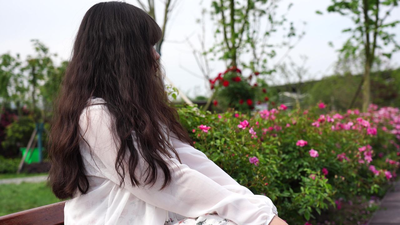 美女与月季