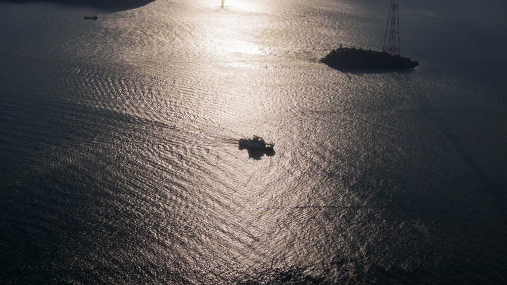 大海