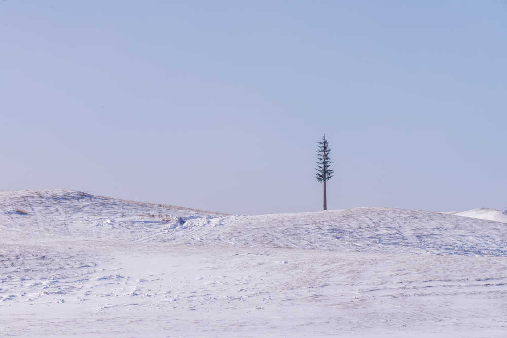 雪景