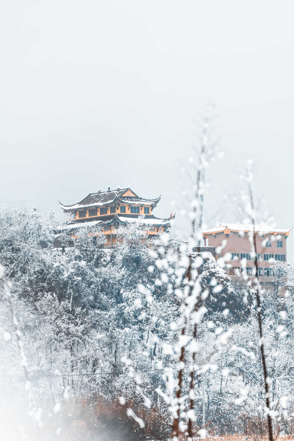 雪中寺
